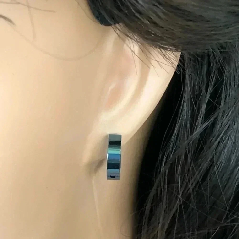 Blue 3.8mm Stainless Steel Stud Hoop Earrings NWT